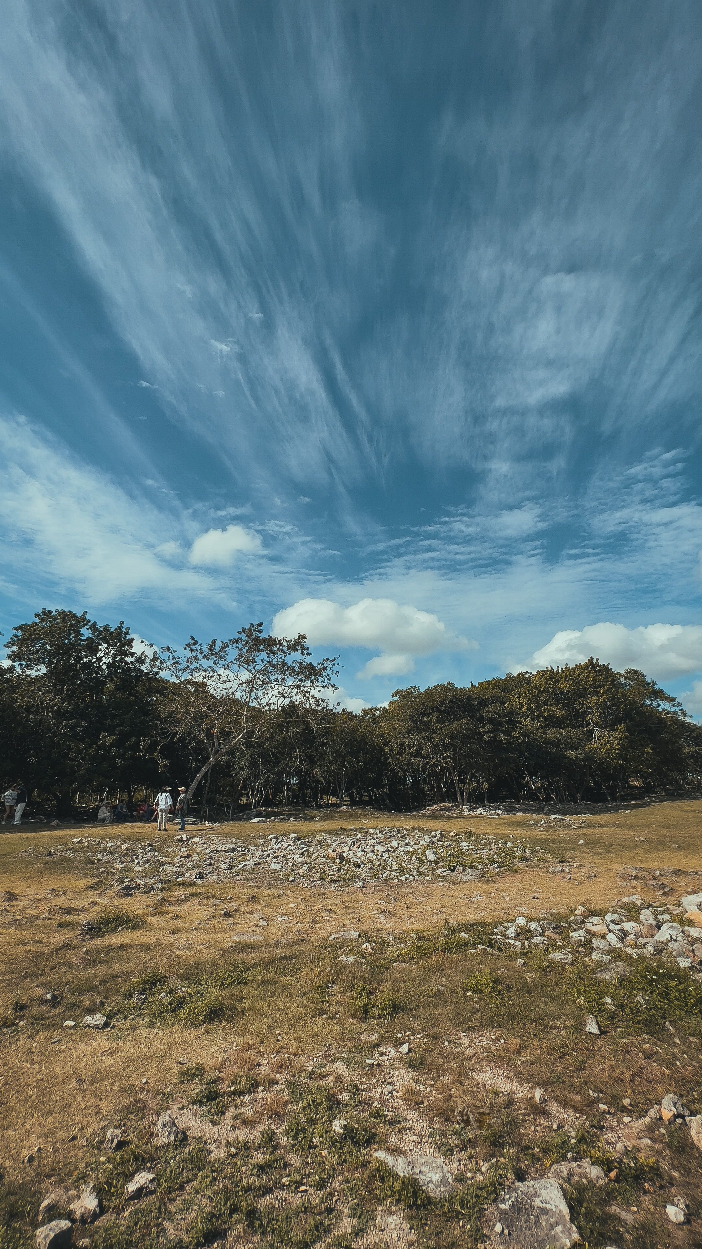 Grass Field with Rocks and Stones · Free Stock Photo