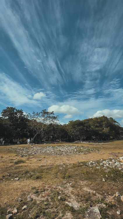 Grass Field with Rocks and Stones · Free Stock Photo