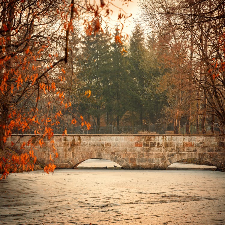 Stone Bridge On River In Autumn Park