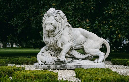 Stone Lion Sculpture in Green Garden