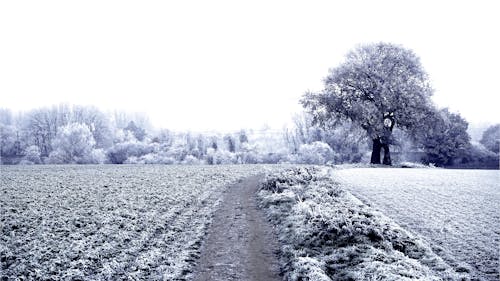 Foto profissional grátis de área, com frio, congelando