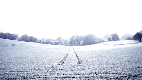 Ingyenes stockfotó hideg, hóval borított, mező témában