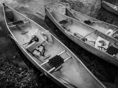 Black and white photo of canoes at Wekiwa Springs in Florida, USA.