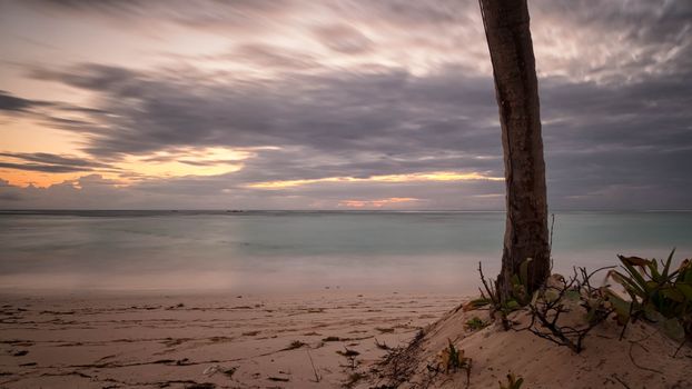 Tranquil beach scene at sunset with clouds and tree trunk in foreground.