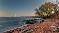 Mississauga