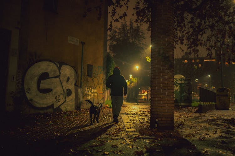 Man Walking Dog At Night