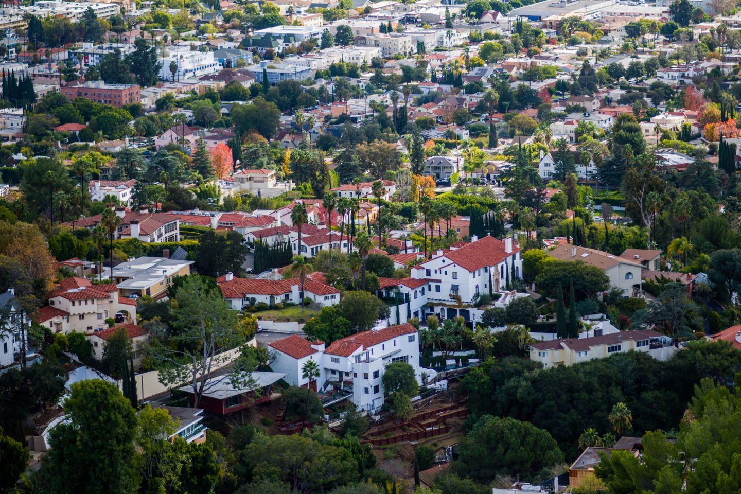 Aerial view of Los Feliz neighborhood with Spanish colonial homes, palm trees, and lush green landscape