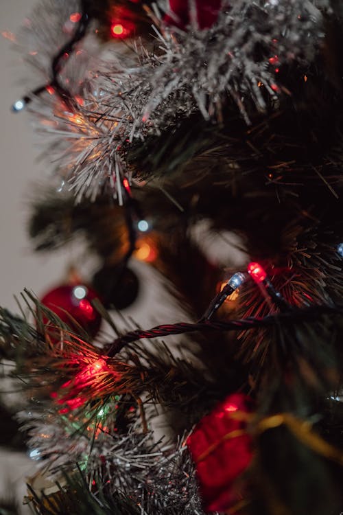 Christmas Tree in Close Up