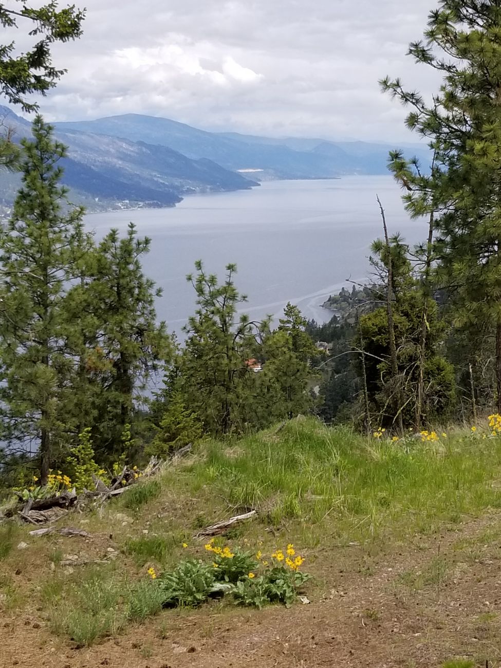 Okanagan landscape