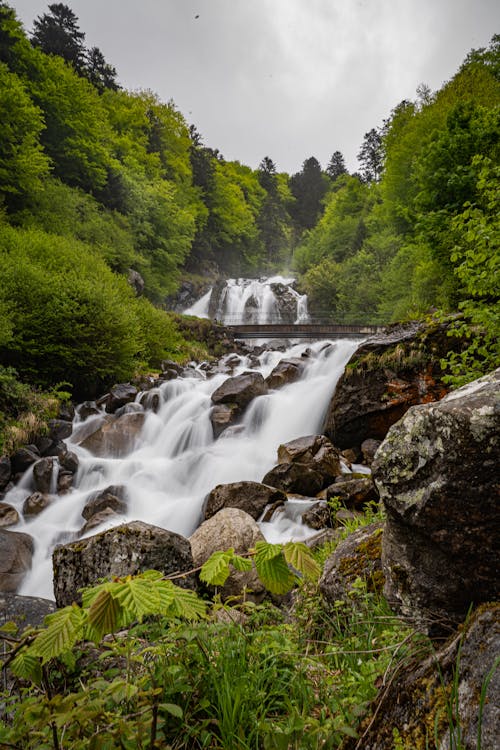 Kostnadsfri bild av bro, cauterets, frankrike