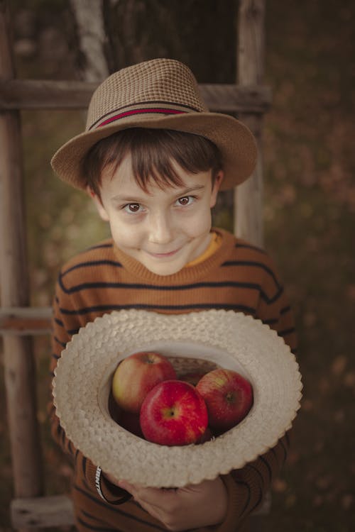 Portrait of a Boy with Apples 