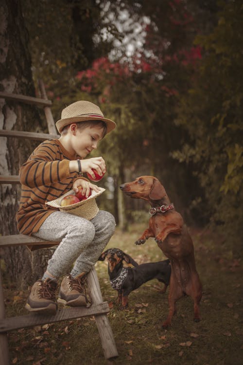 A Boy with Dogs in a Yard 