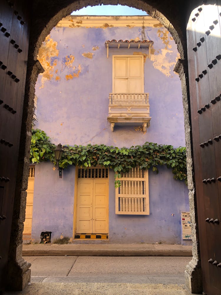 Vine Decorating Facade Of House