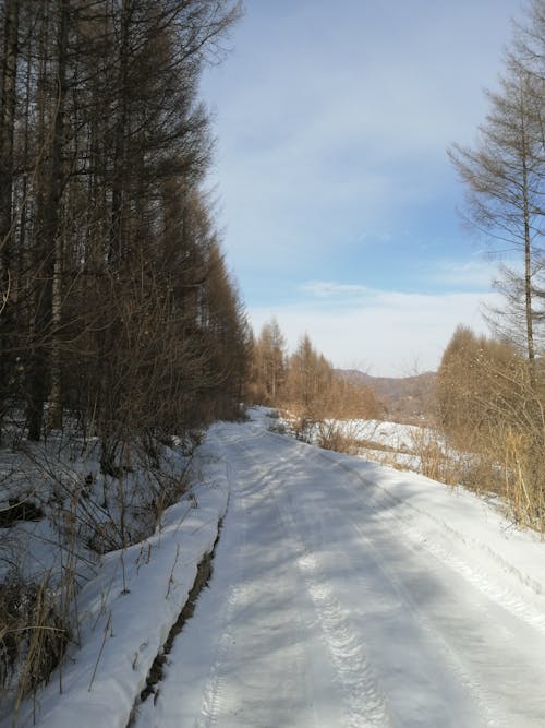 A Snow Covered Road in the Countryside