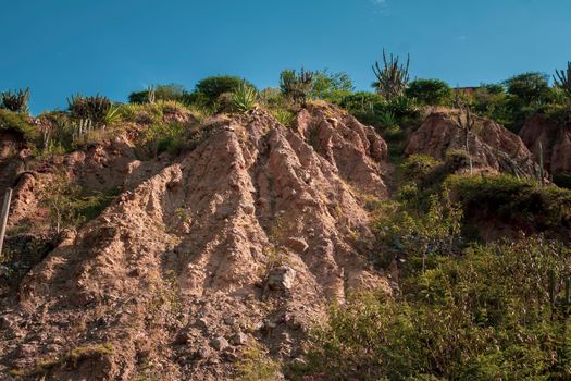 Escarpment with Vegetation