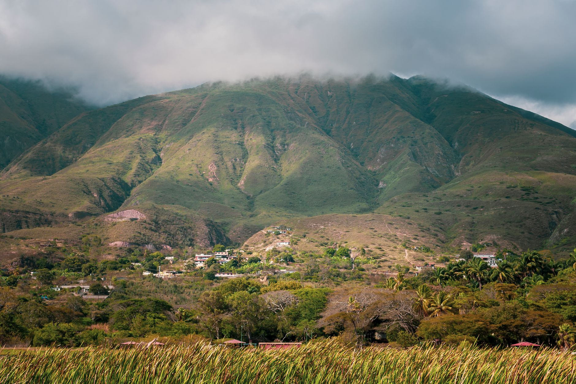 Explore Merida's picturesque and verdant hills under a cloudy sky, featuring rural landscapes.