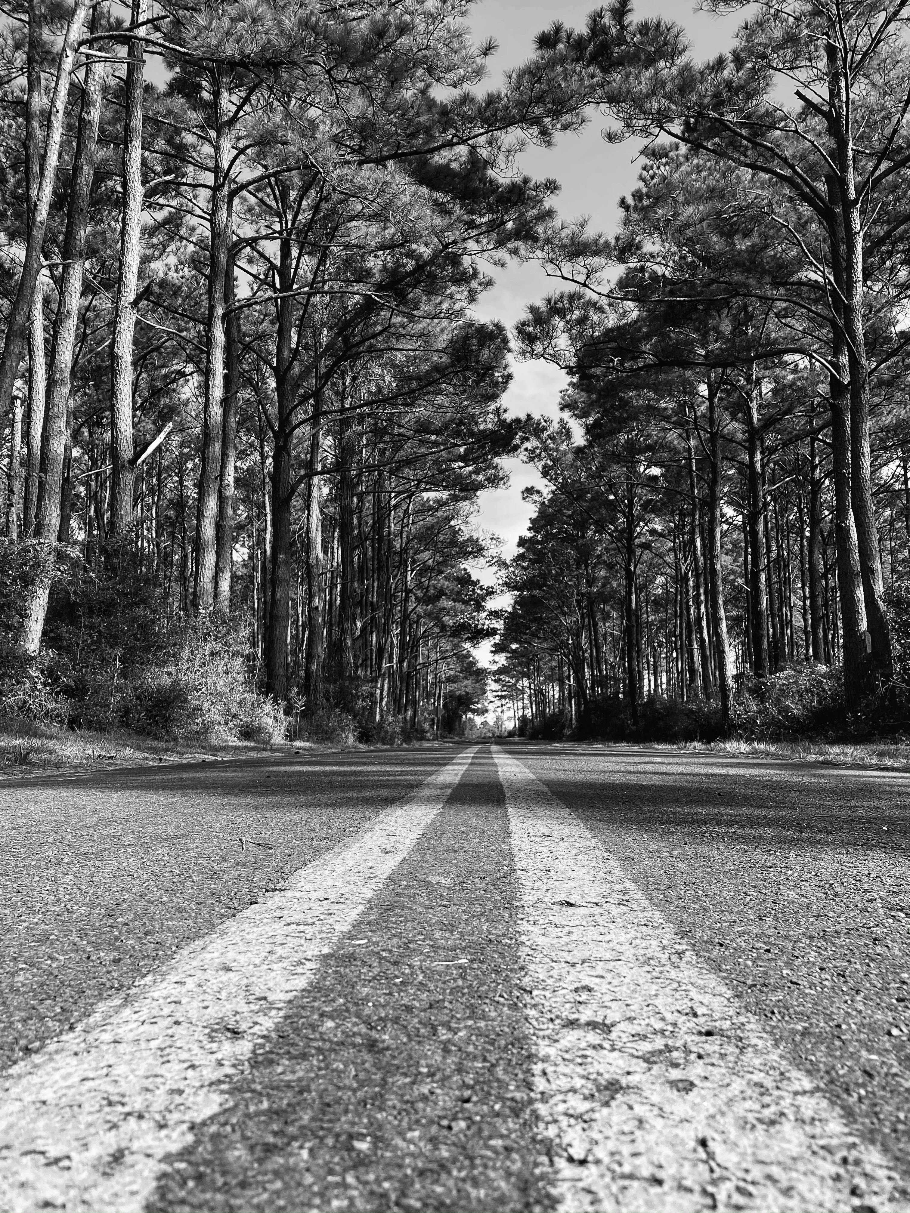 Lola Astanova Photos, Download The BEST Free Lola Astanova Stock Photos