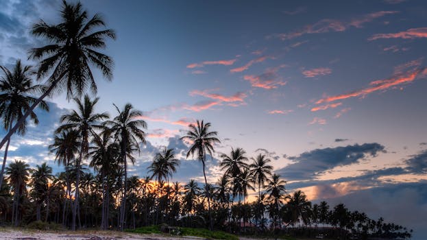 Serene tropical beach at sunset with silhouettes of palm trees against a colorful sky.