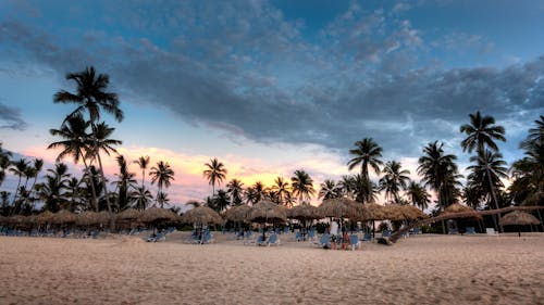 Free Nipa Hat Surrounded With Palm Trees Under White Clouds and Blue Skies Under Orange Sunset Stock Photo