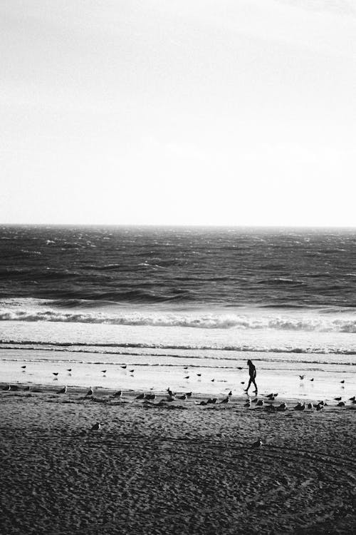 Безкоштовне стокове фото на тему «берег моря, вертикальні постріл, відтінки сірого»