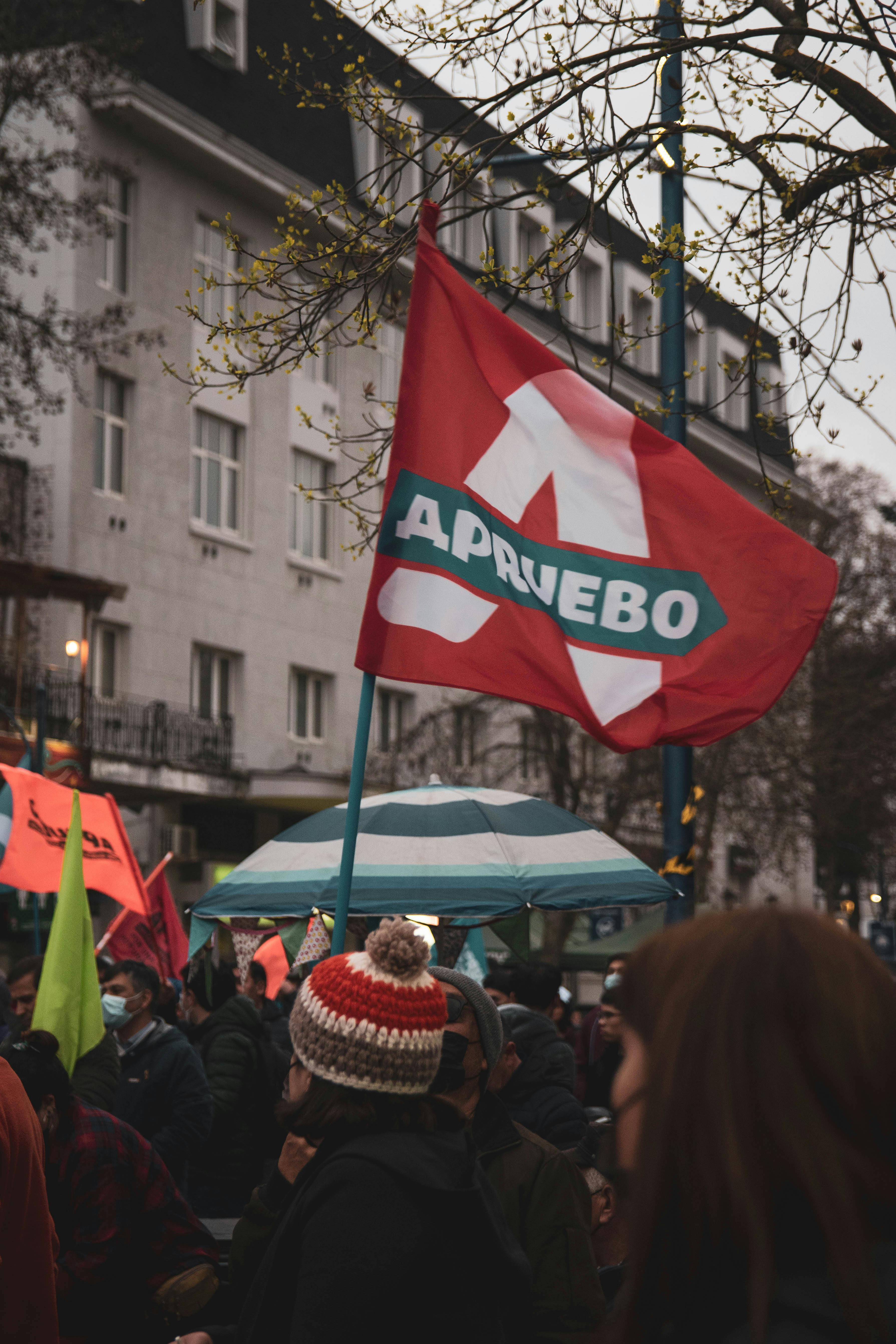 Gratis Immagine gratuita di america latina, approvare, attivismo Foto a disposizione