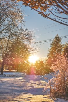 Icy winter morning with glowing sunrise through trees in New Paltz, NY.