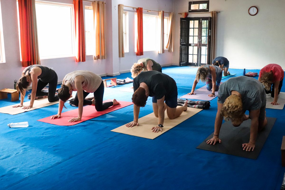 Group yoga class taking place in Rishikesh, India