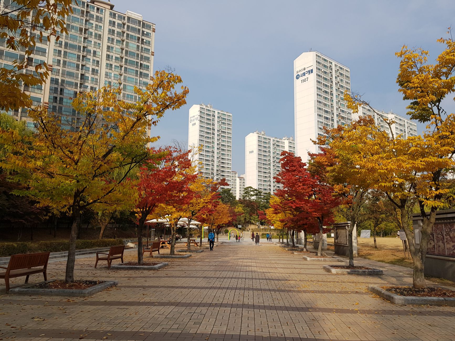 Scenic view of a city walkway lined with colorful autumn trees in Yongin-si, South Korea.