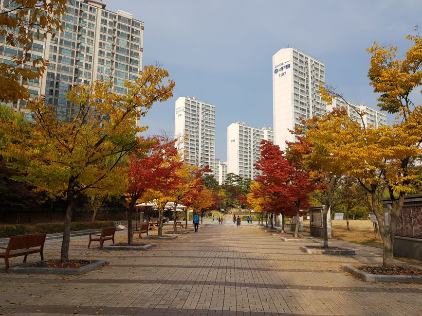 대전유흥