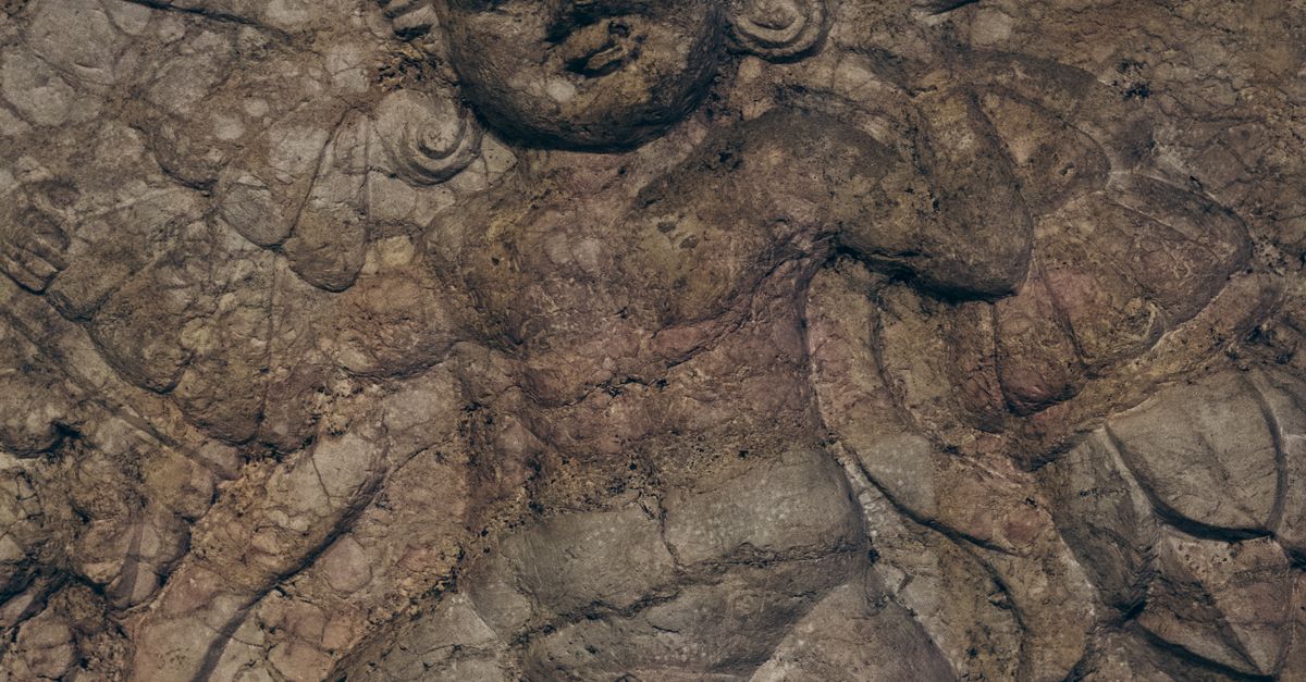 Cómo la piedra de Rosetta revolucionó el estudio del Antiguo Egipto Cómo la piedra de Rosetta revolucionó el estudio del Antiguo Egipto