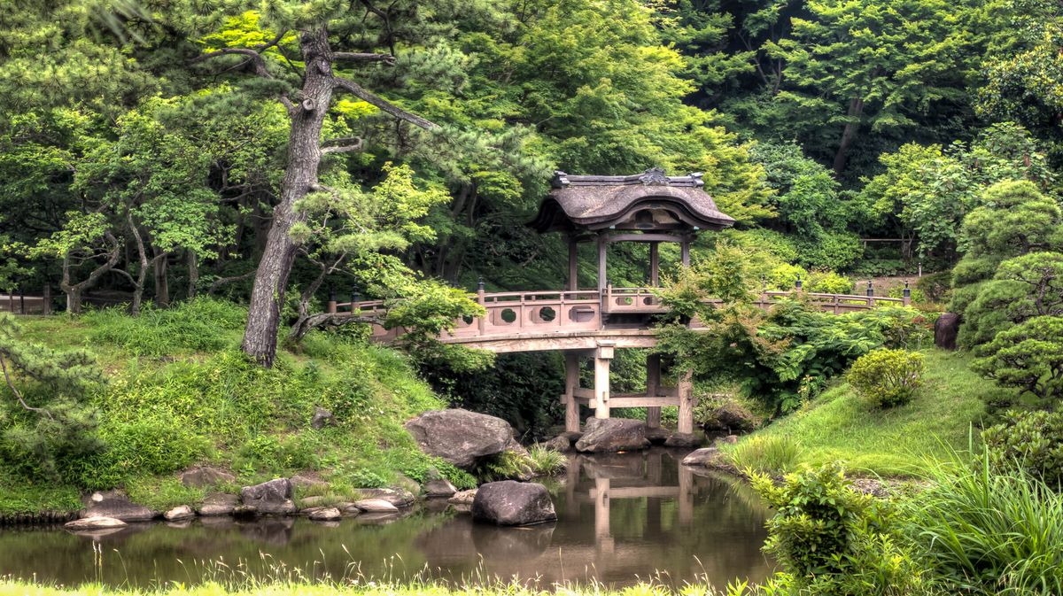 Relax in Sankeien Garden