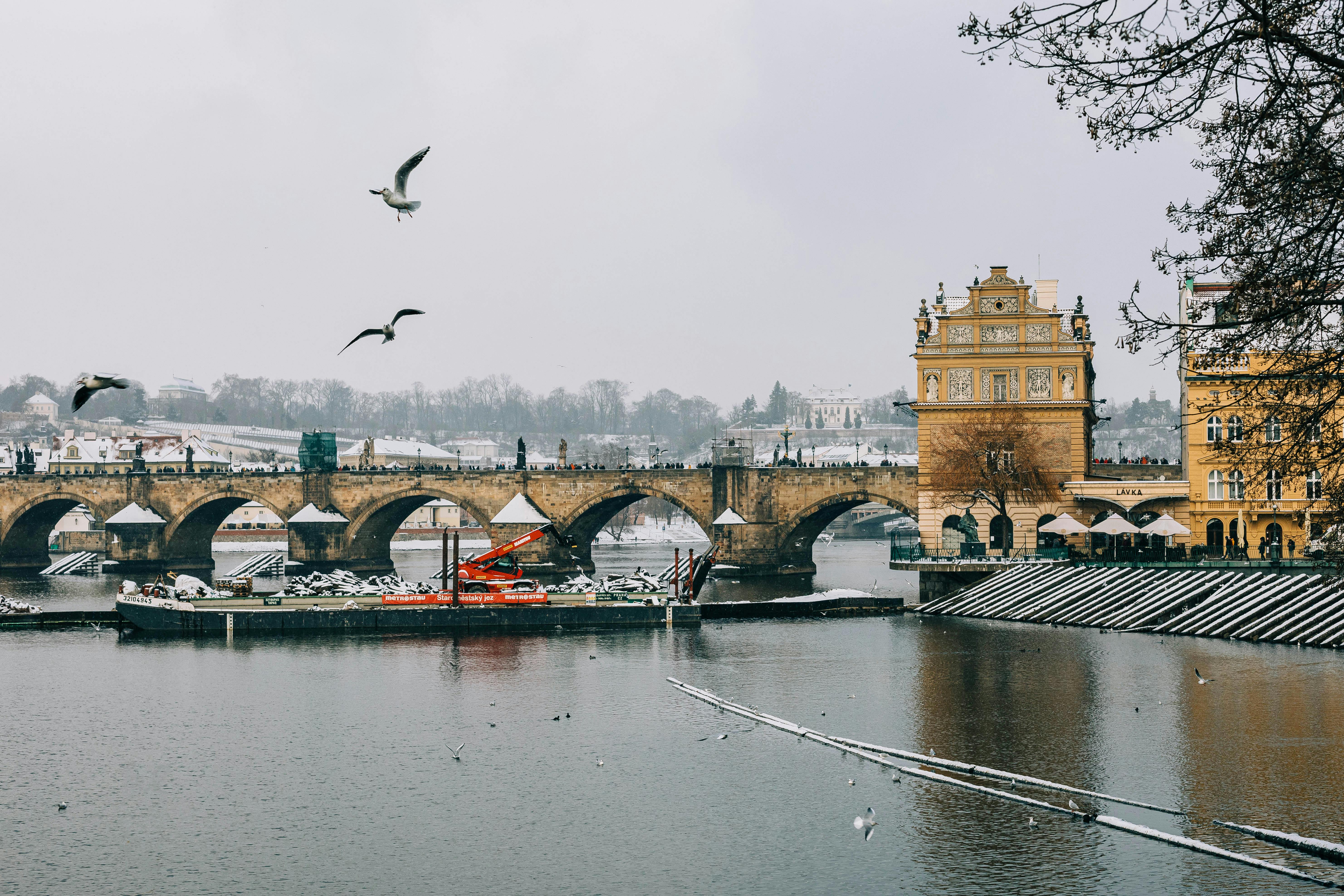 Navigating Controversy and Building Trust