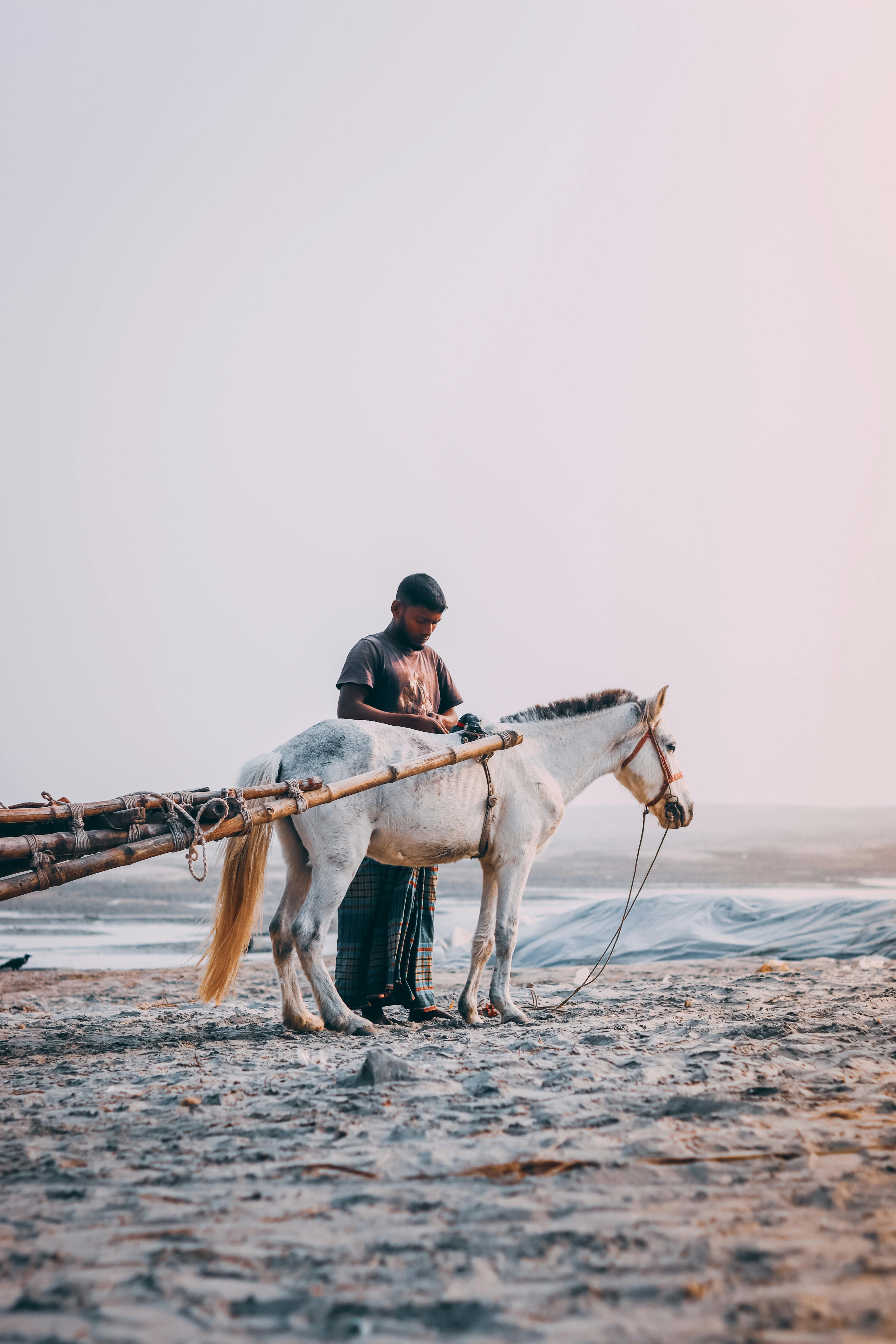 a man holding a horse