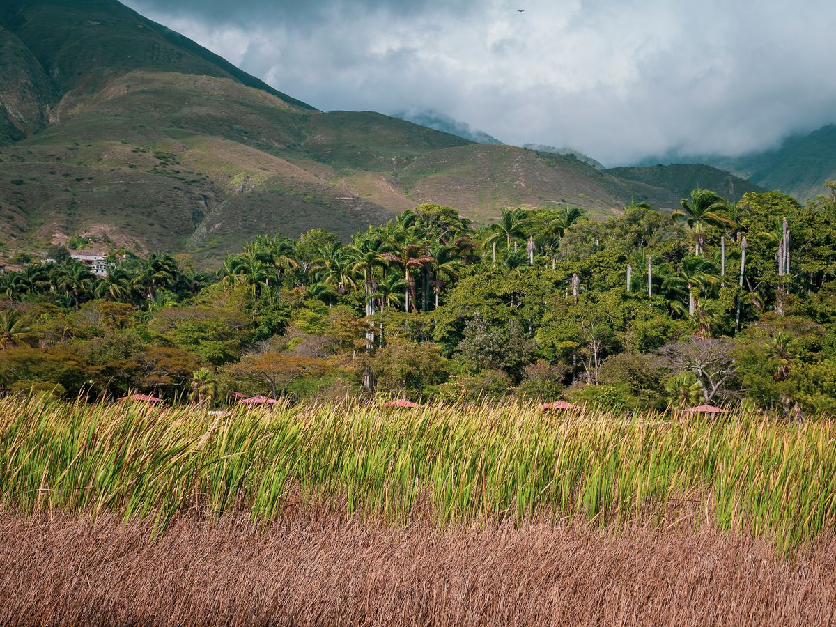 5 Day All-Inclusive Couple's Tantra Training Retreat, Costa Rica 3