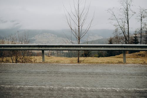 Foto profissional grátis de árvores, declínio, estrada de asfalto