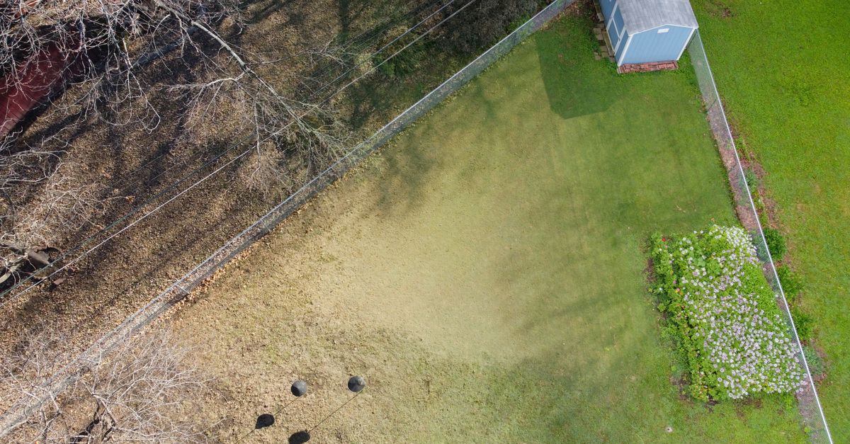 Aerial view of a Kansas City backyard with grass, flowerbed, and a shed.