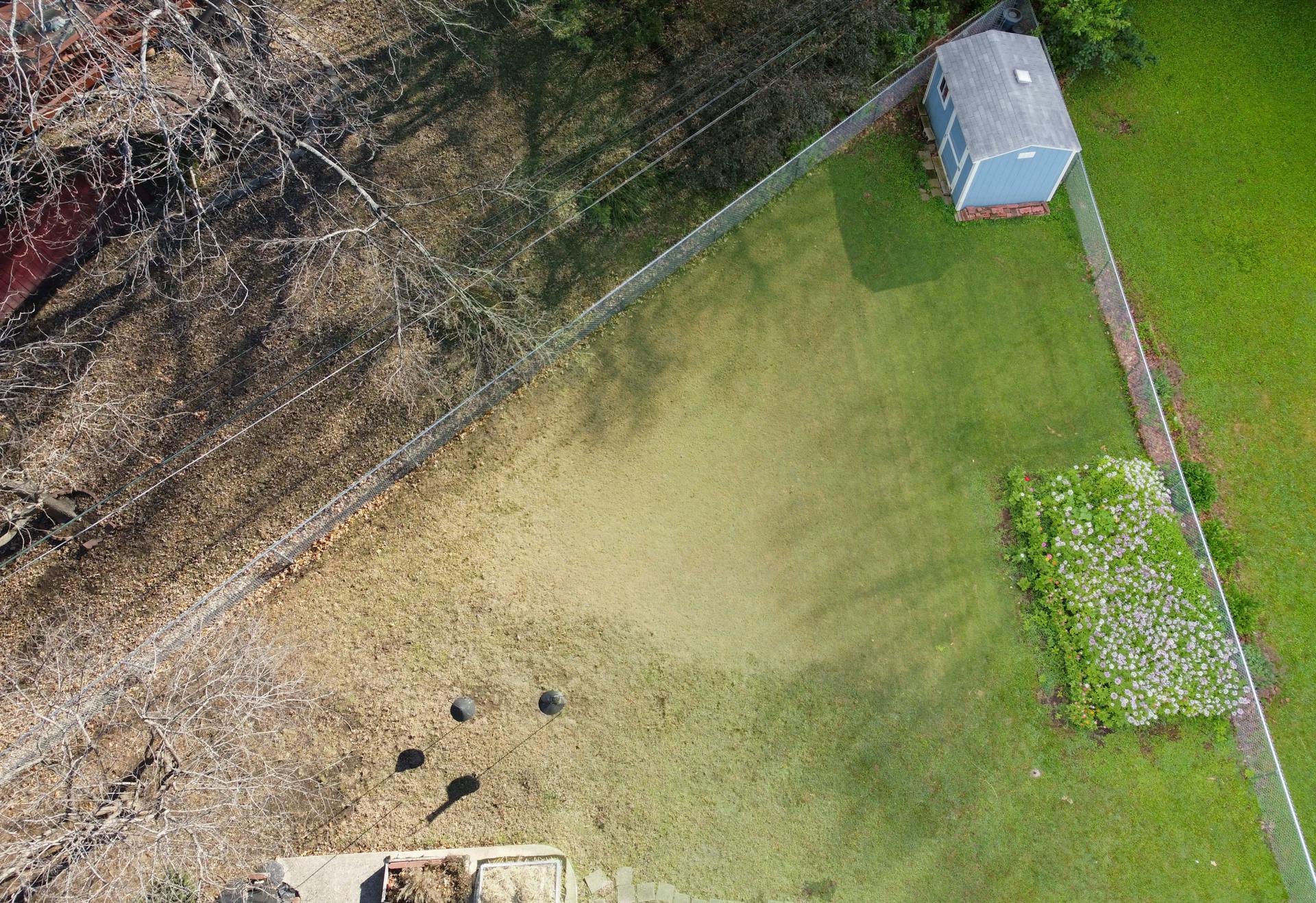 Aerial view of a Kansas City backyard with grass, flowerbed, and a shed.