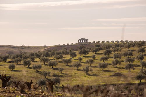 Cortijo bonito