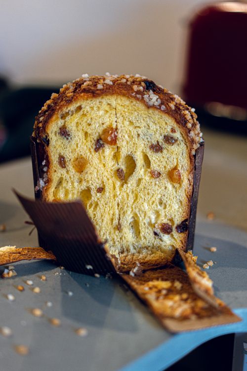 Free Close-up of a fresh panettone slice showcasing raisins and nuts in soft, golden dough. Stock Photo