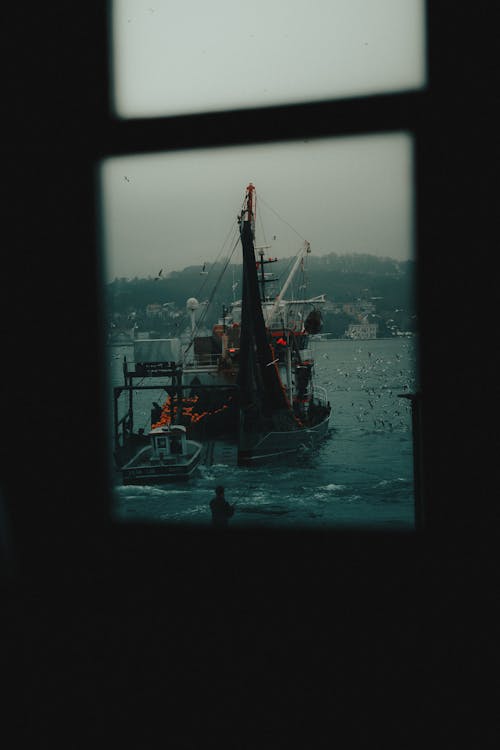 คลังภาพถ่ายฟรี ของ กลไก, ซิลูเอตต์, ท่าเรือ