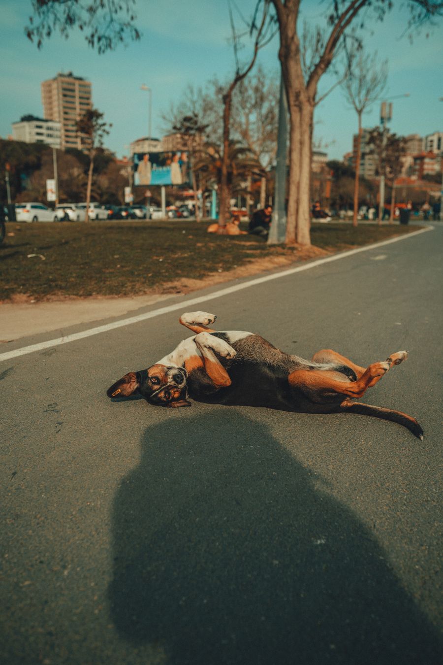 Yolda uzanan bir figür ve yanında uzun gölgesi