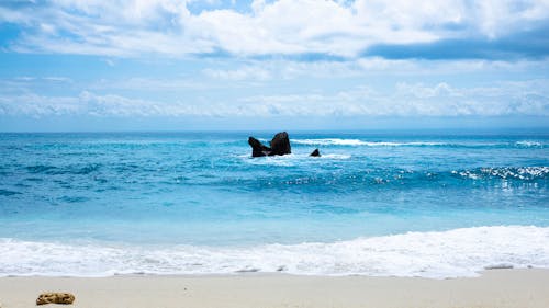 Kostnadsfri bild av blå, blå ocean, strand