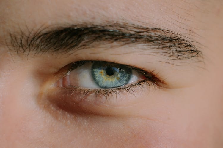 Close Up Of Man Eye