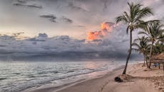 蓬塔卡纳海滩上，迷人的日落、云层和棕榈树共同营造出宁静的热带氛围