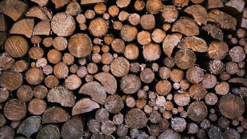 Close-up of a Pile of Chopped Wood 