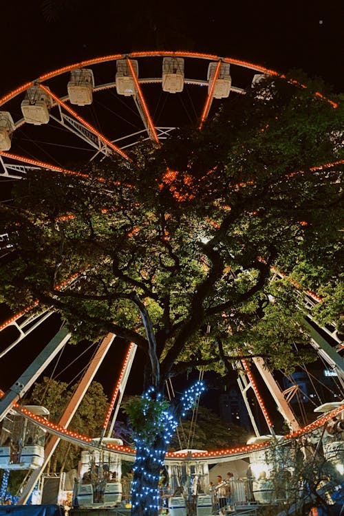 Immagine gratuita di albero, giro del parco dei divertimenti, notte
