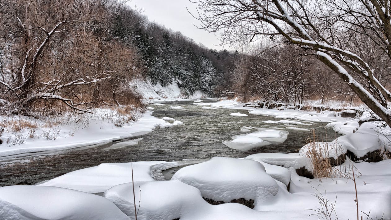 Ücretsiz ırmak, kış, orman içeren Ücretsiz stok fotoğraf Stok Fotoğraflar