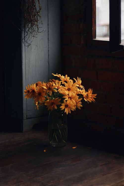 Sunflowers in a Vase · Free Stock Photo