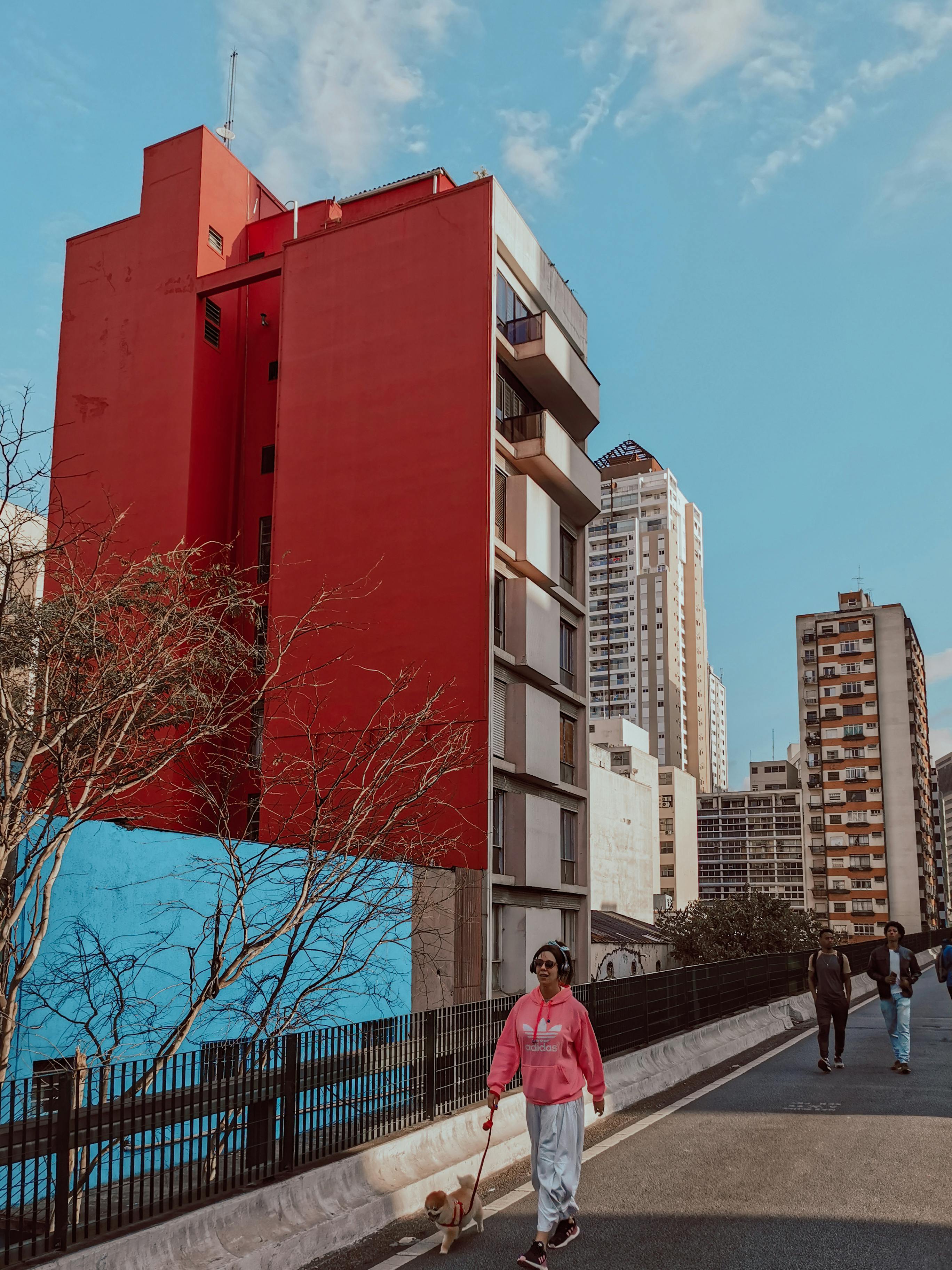 What should I do if my dog accidentally ate shrimp?