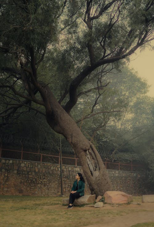 Imagine de stoc gratuită din arbore, femeie, fotografiere verticală
